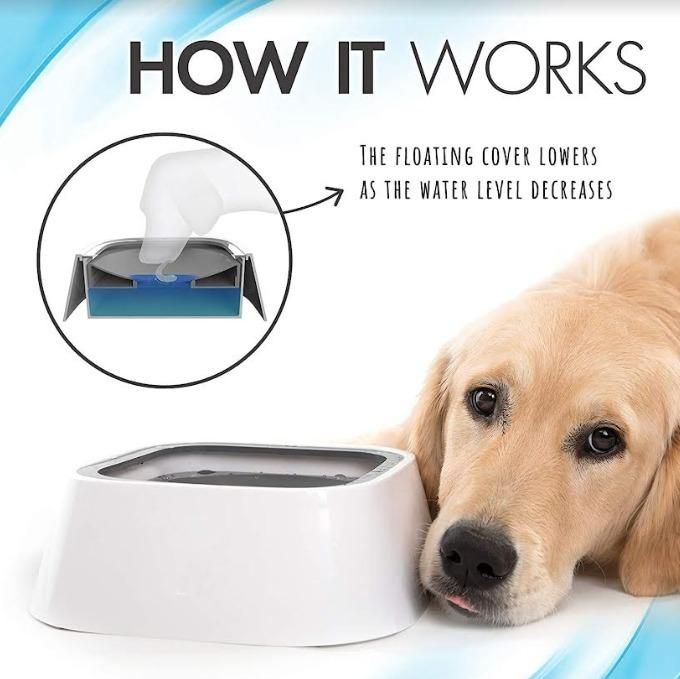 Floating Anti-Overflow Pet Bowl – No Mess, Just Fresh!"