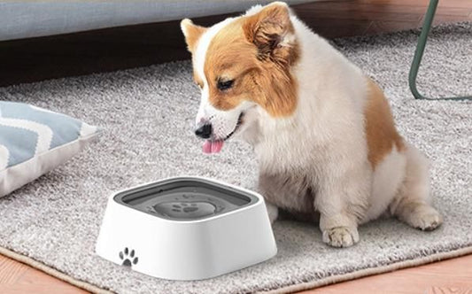 Floating Anti-Overflow Pet Bowl – No Mess, Just Fresh!"