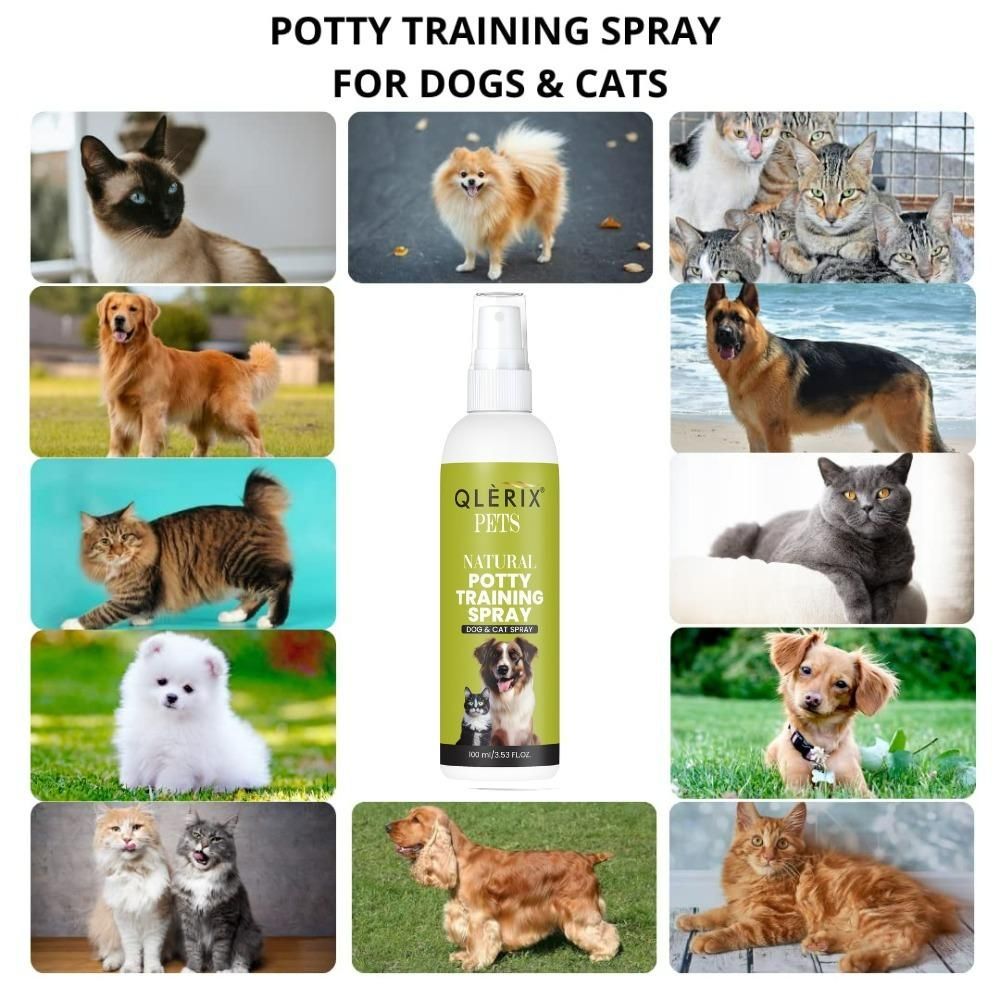 Natural Potty Training Spray for Pets – Easy & Effective (100ml)