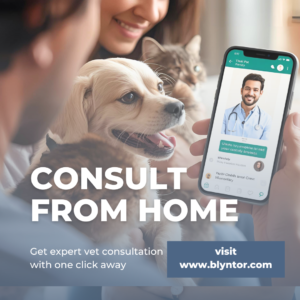 get expert vet help in minutes