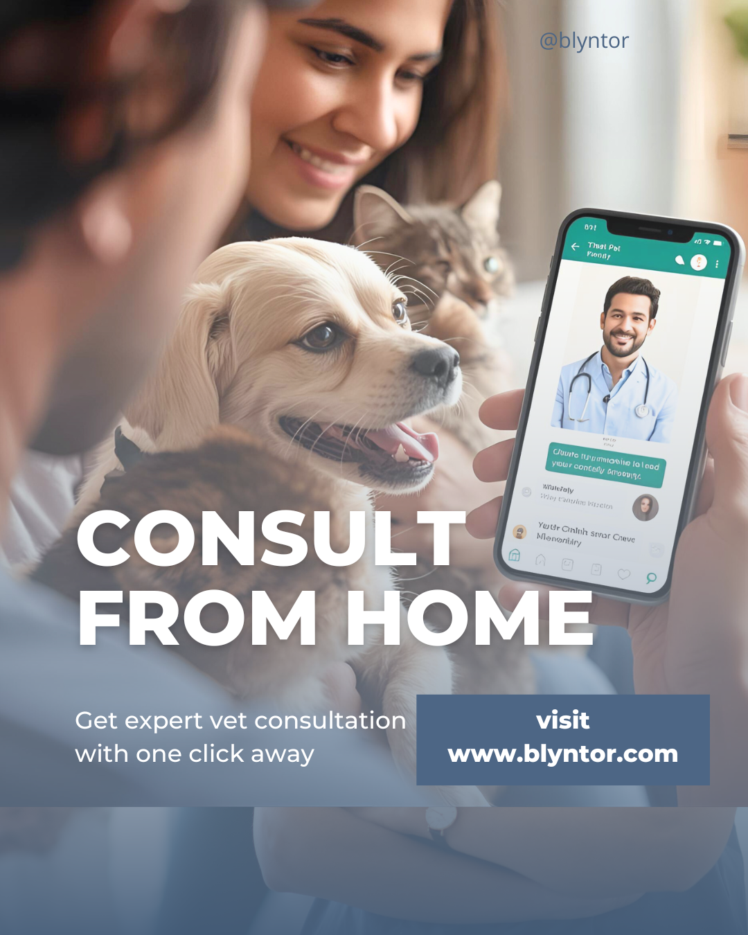 get expert vet help in minutes get expert vet help in minutes